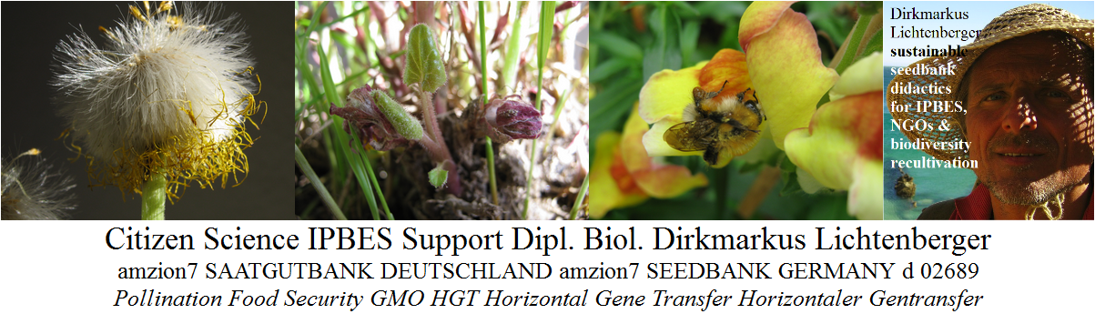citizen-science-ipbes-support-dipl-biol-dirkmarkus-lichtenberger-amzion7-seedbank-germany-d-02689-pollination-food-security-gmo-hgt