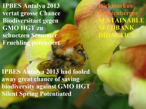 ipbes-antalya-gmo-hgt-pollination-food-security-bee-security-dirkmarkus-lichtenberger-sustainable-seedbank-didactics-antirrhinum-snapdragon-gmo-bee-security-silent-spring