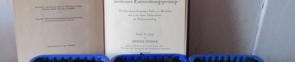 Jospeh Beuys 7000 Rosenkreuzer Eichen Rudolf Steiner Baumschule Dirkmarkus Lichtenberger