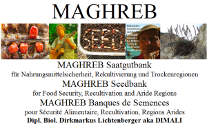 maghreb-banques-de-semences-pour-securite-alimentaire-recultivation-regions-arides-dipl-biol-dirkmarkus-lichtenberger-aka-dimali