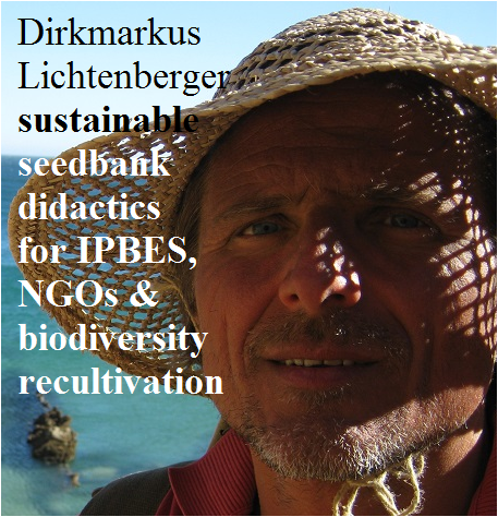 dirkmarkus-lichtenberger-sustainable-seedbank-didactics-semences-saatgut