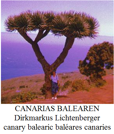 kanaren-balearen-canary-balearic-baleares-canaries-dirkmarkus-lichtenberger-lyrik-poesie-oekotourismus