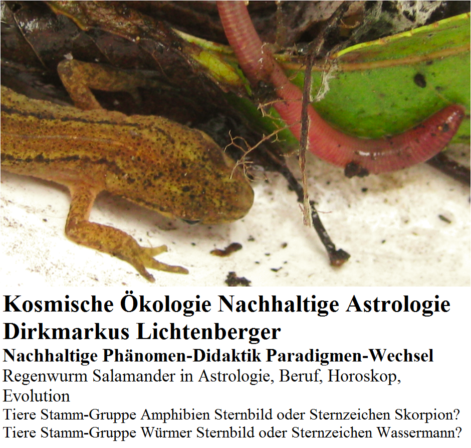 kosmische-oekologie-nachhaltige-astrologie-salamander-skorpion-regenwurm-wassermann-dirkmarkus-lichtenberger