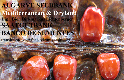 algarve-seedbank-mediterranean-dryland-saatgutbank-banco-de-sementes-dirk-markus-lichtenberger-visit-us