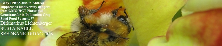 ipbes-antalya-gmo-hgt-pollination-food-security-bee-security-dirkmarkus-lichtenberger-sustainable-seedbank-didactics-antirrhinum-snapdragon-gmo